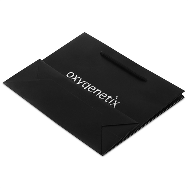 Eco-friendly black laminated paper bags with silver logo